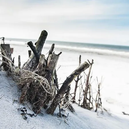 Lejlighed Weisse Duene - App. 3 Wenningstedt-Braderup