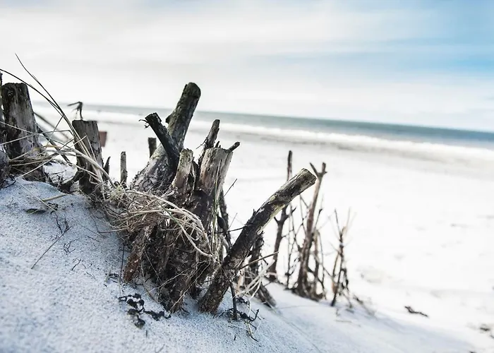 Apartamento Weisse Duene - App. 3 Wenningstedt-Braderup